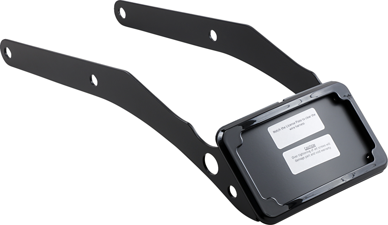 CYCLE VISIONS LP Plate Frame & Mount with Tag Light - FLSL/FXBB / Black 2030-1267