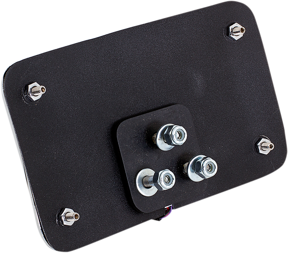 CYCLE VISIONS License Plate Mount - Lighted Frame 2030-0941