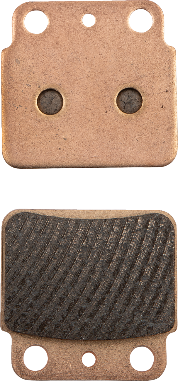 ALL BALLS Sintered Brake Pads - Rear Right 1721-3094