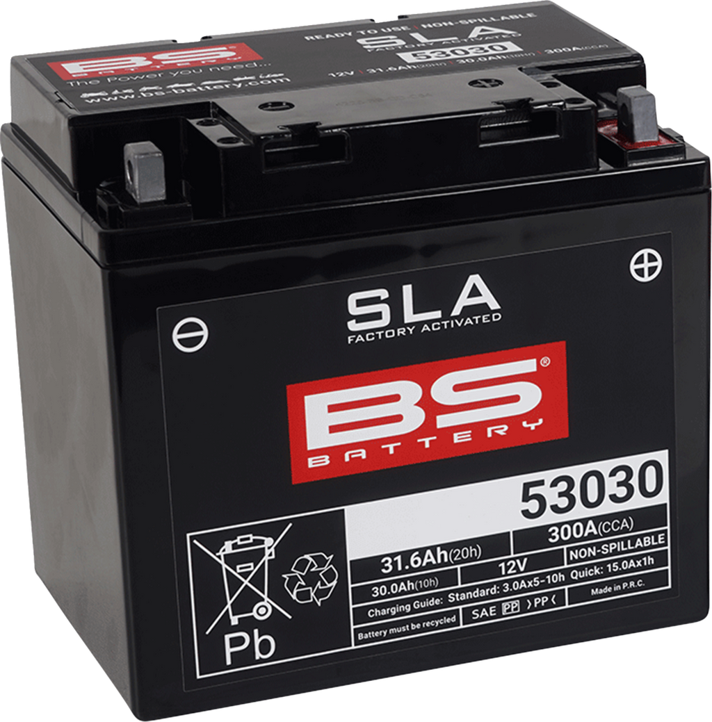 BS BATTERY SLA Factory- Activated AGM Maintenance-Free Battery