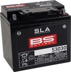 BS BATTERY SLA Factory- Activated AGM Maintenance-Free Battery