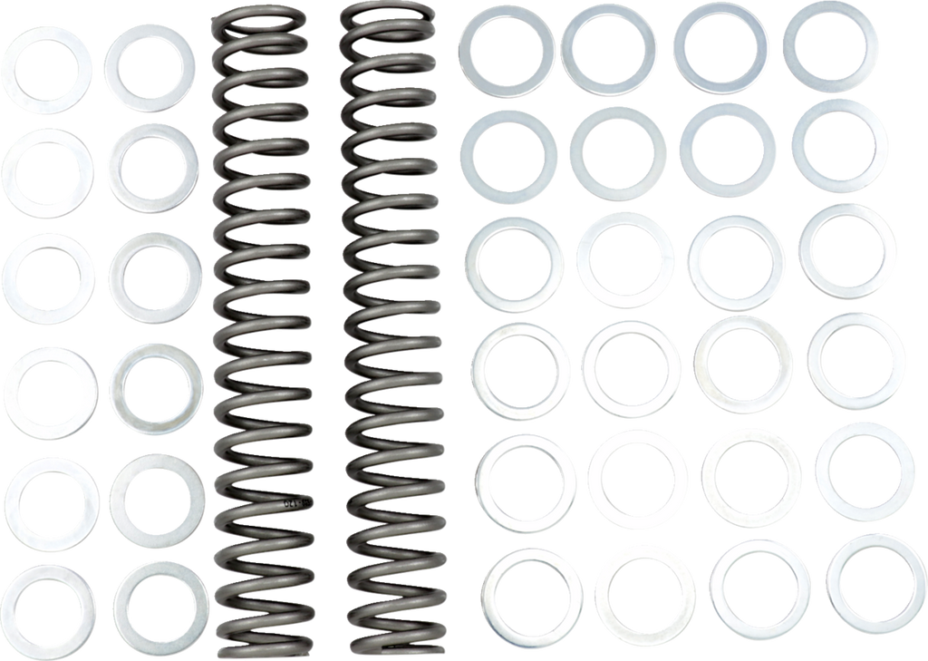 RACE TECH Fork Springs — 67.20 lb/in