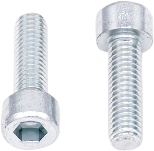 BOLT Allen Bolts - Socket-Head / M6 x 20 / 10-Pack 2404-0394