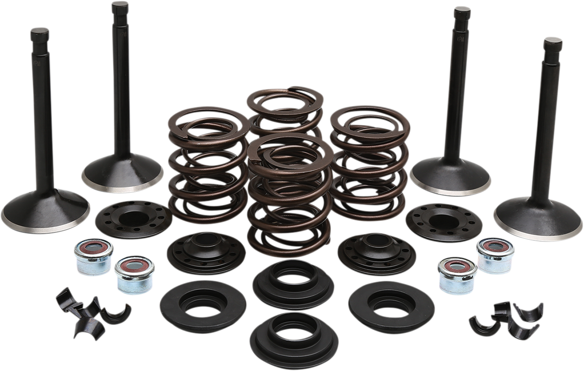 KIBBLEWHITE Engine Valve Kit