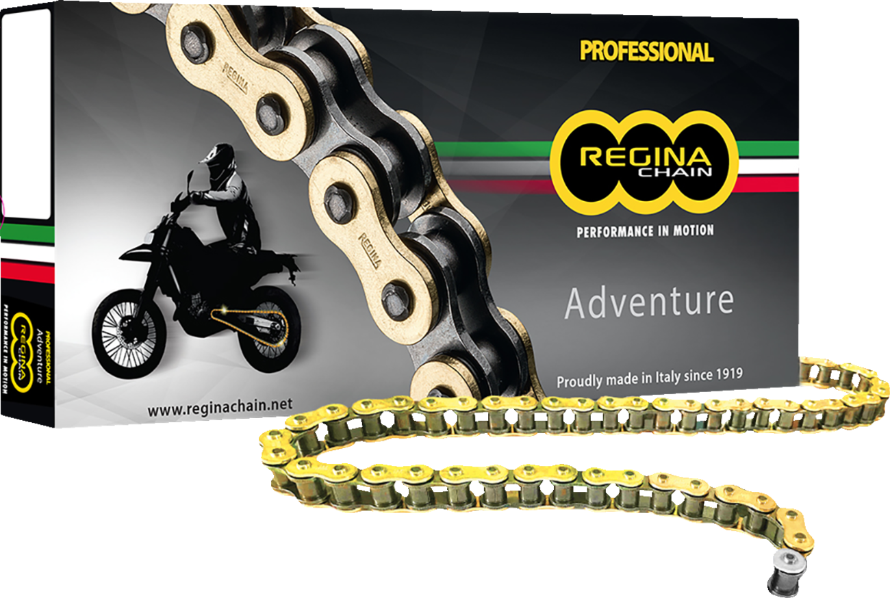 REGINA 520 ZRE Z-Ring Chain