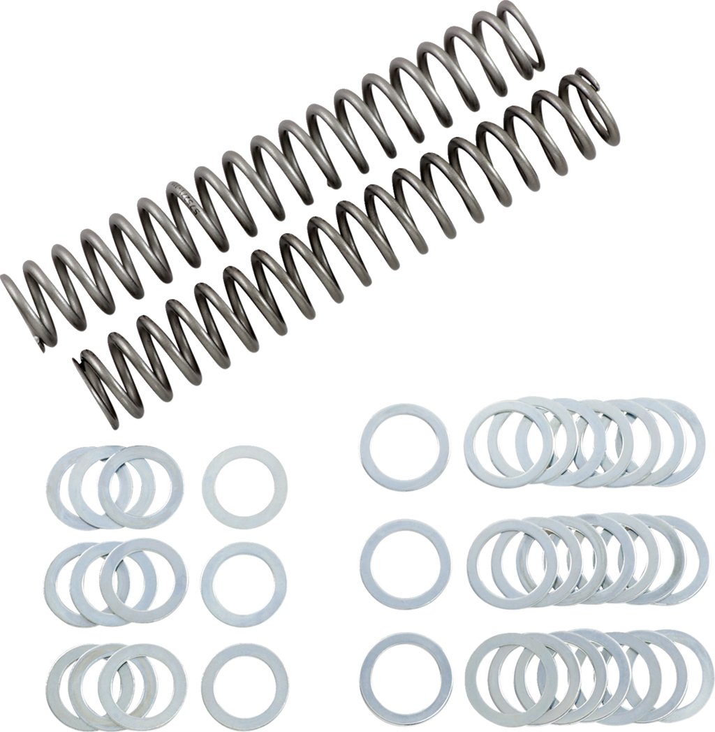 RACE TECH Fork Springs — 61.60 lb/in