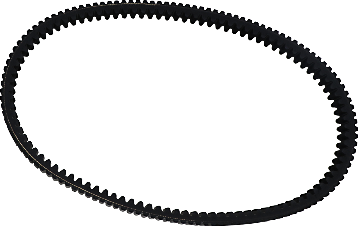 DAYCO PRODUCTS,LLC RPX™ Race Performance Belt