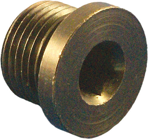 DAYTONA O2 Weld Nut Hex Plug - 115002