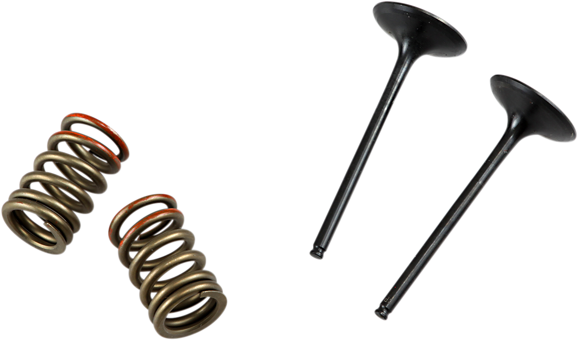 PROX Valve and Spring Kit