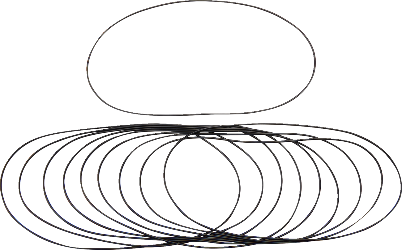 JAMES GASKET Chain Housing Cover O-Ring - DS-174315