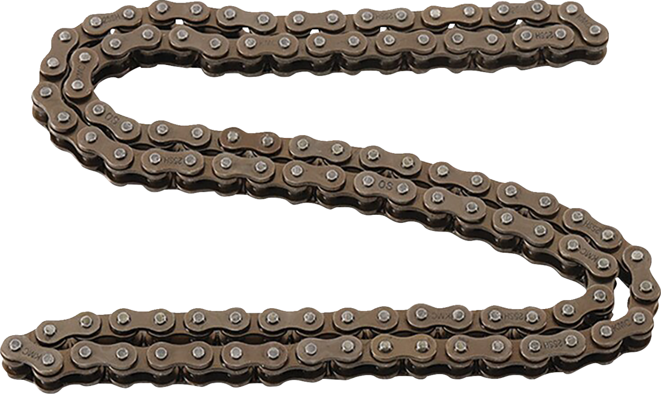 HOT CAMS Roller Camshaft Chain