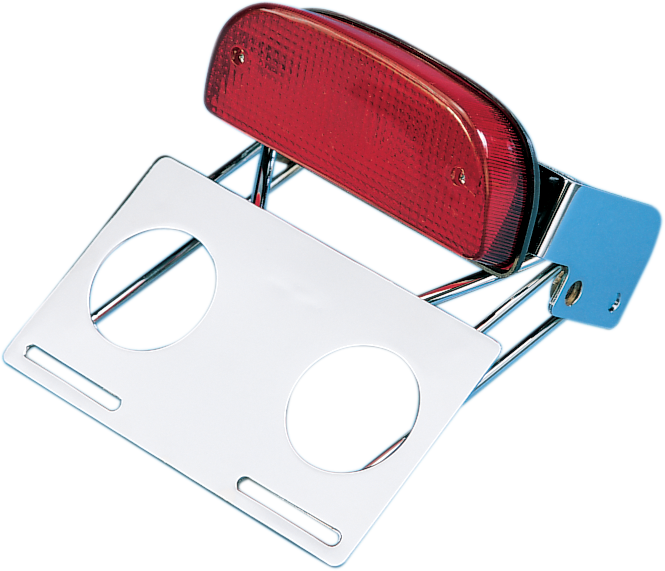 DRAG SPECIALTIES Custom Taillight and Chrome Bracket Assembly - Taillight/Bracket Assembly / Chrome DS-272026