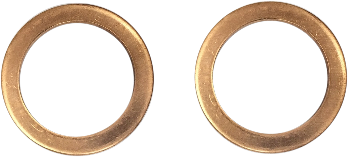 DRAG SPECIALTIES Fork Damper Tube Mount Washers