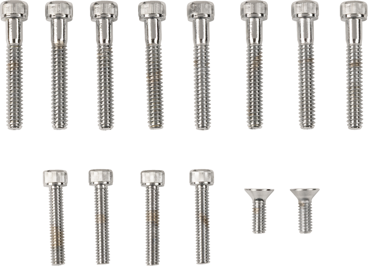 DRAG SPECIALTIES Handlebar Lever and Master Cylinder Cover Bolt Set