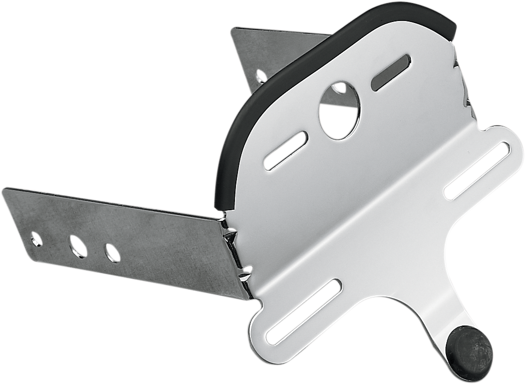 DRAG SPECIALTIES License Plate/Taillight Bracket - Harley Davidson DS-270120