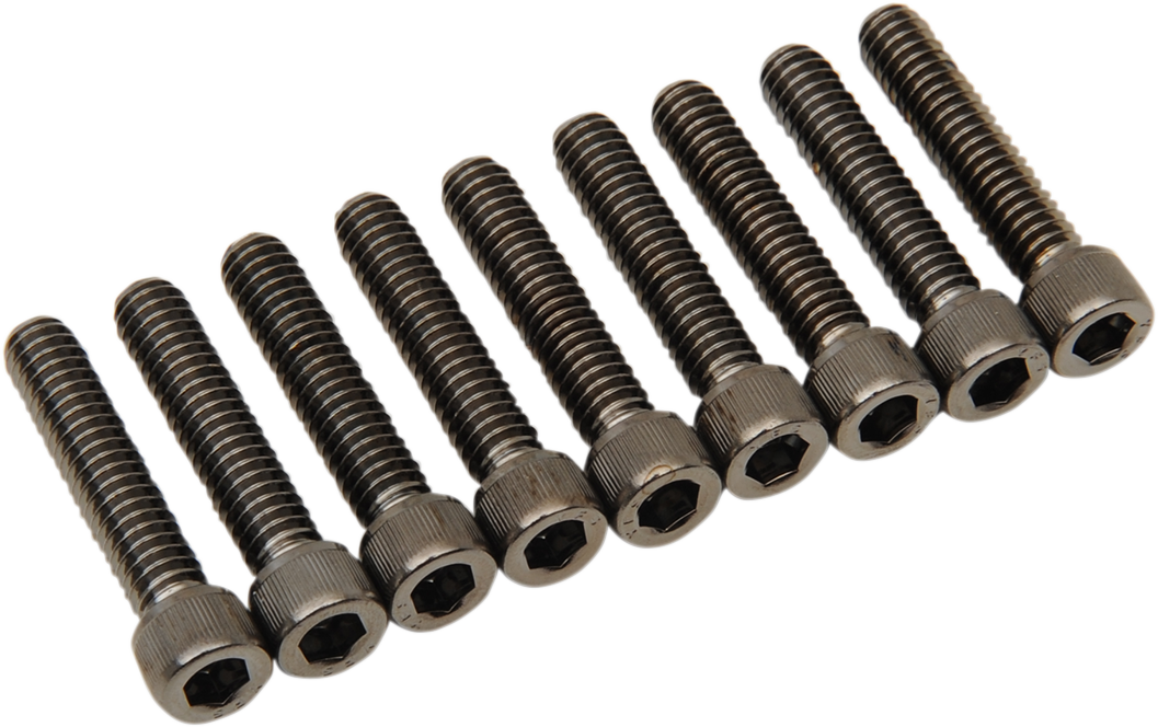 DRAG SPECIALTIES M-Eight Bolt Kit