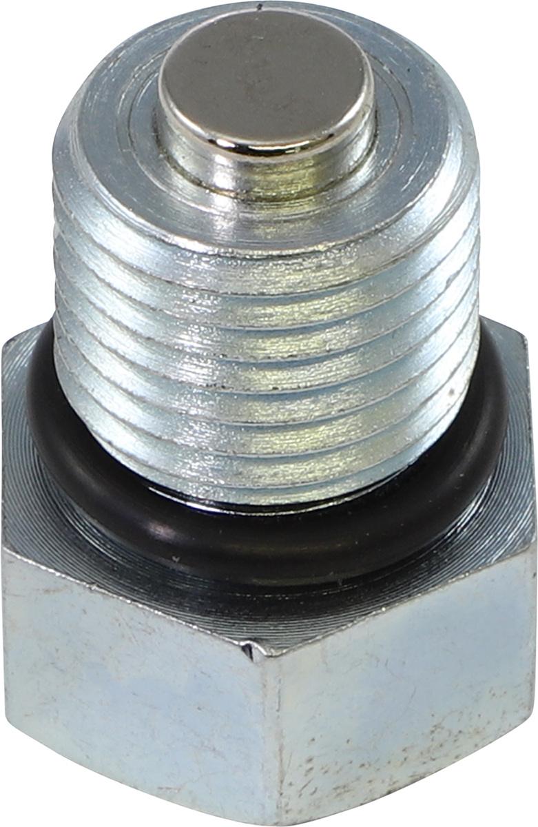 DRAG SPECIALTIES Magnetic Oil Drain Plug - 1/2" / 20 0710-0268