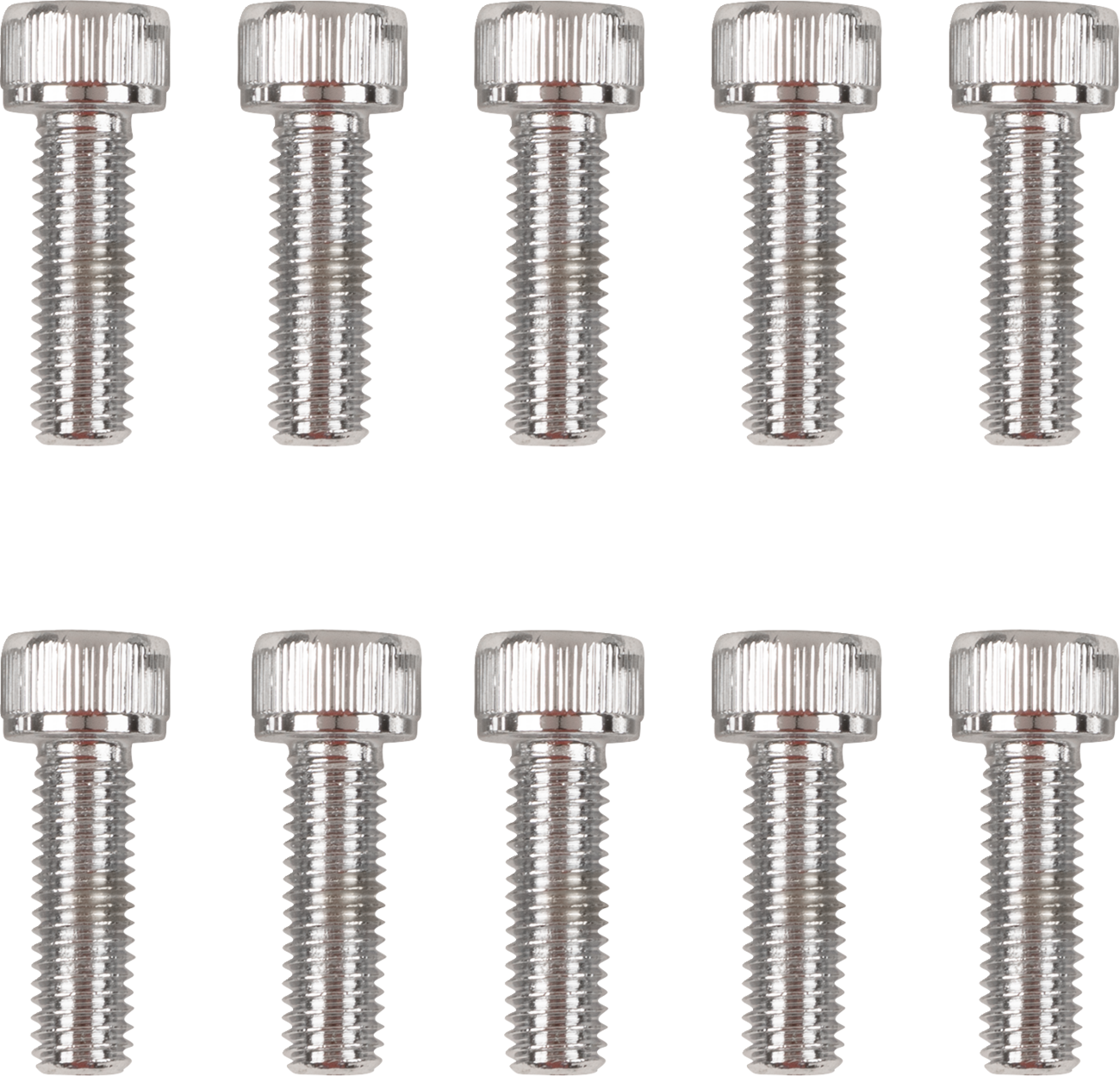 DRAG SPECIALTIES Primary Cover Only Bolt Kit