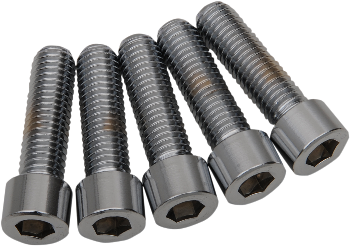 DRAG SPECIALTIES Replacement Coarse Thread Socket-Head Bolts