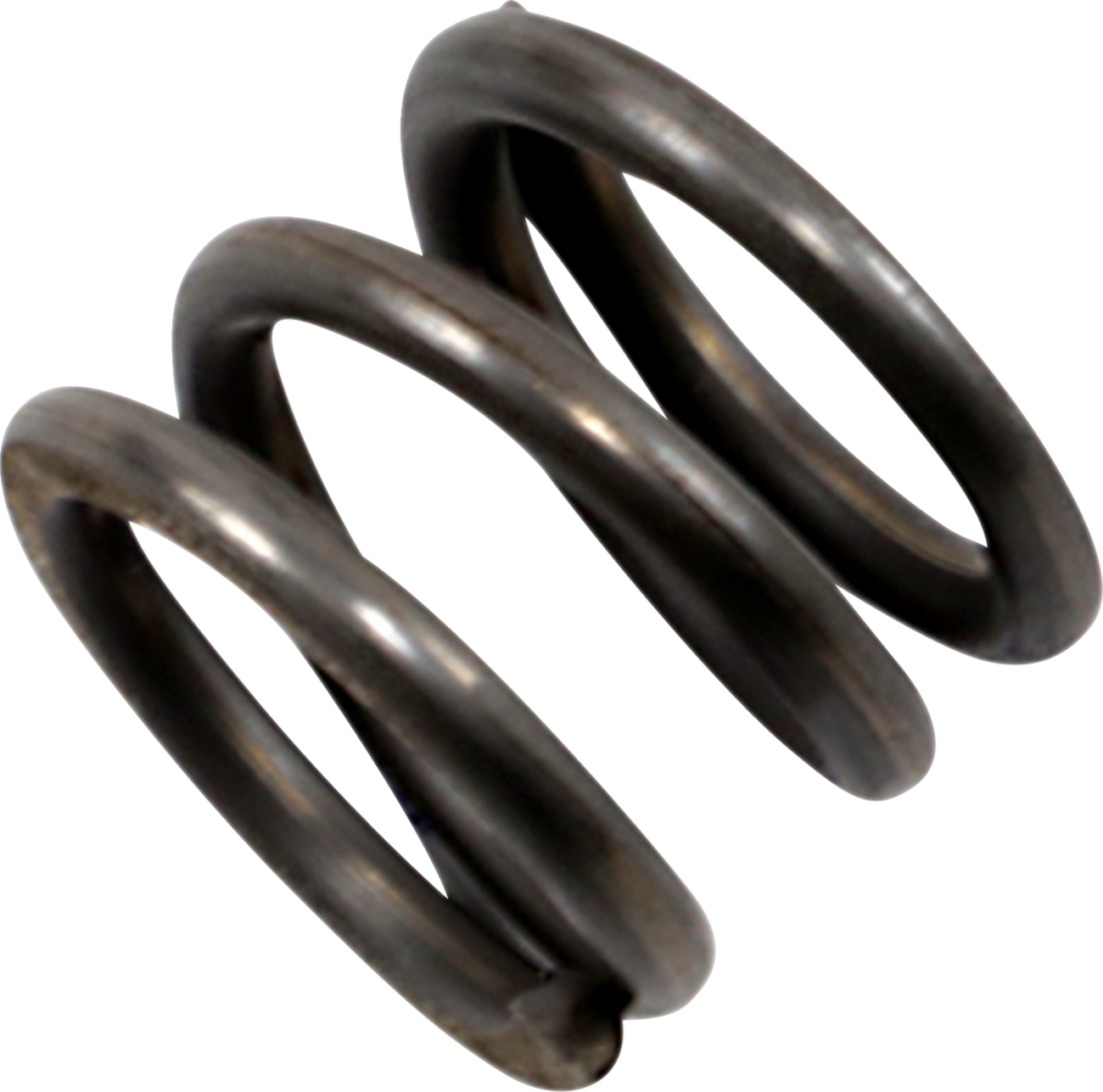 DRAG SPECIALTIES Replacement Damper Springs - Damper Spring / 41mm / '97-'13 FLT 0405-0294