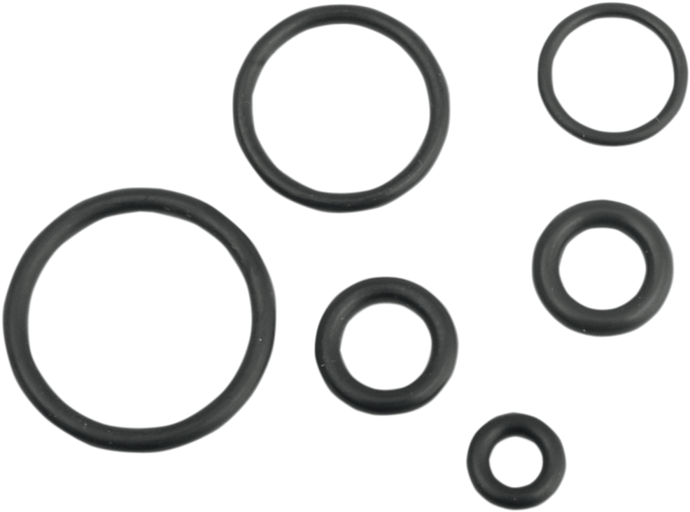 DRAG SPECIALTIES Replacement O-Ring Service Kit - Replacement Fuel Line O-Ring Kit / EFI 0706-0209