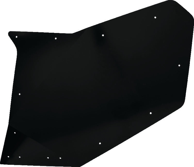 DragonFire Racing Rear Passenger Door Skin For 522137 - 522298