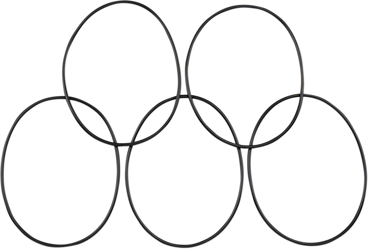 JAMES GASKET O-Rings - Derby Cover O-Ring 0934-4644