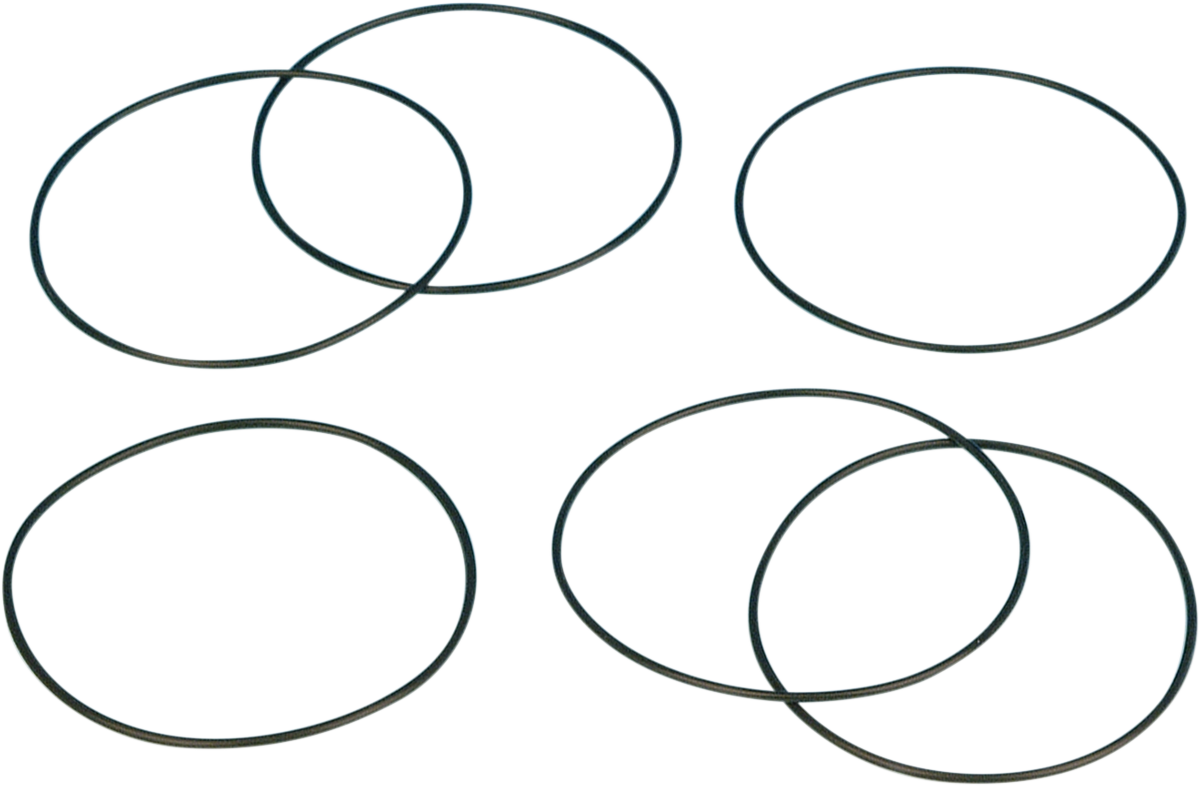 JAMES GASKET Turn Signal O-Ring - Big Twin/XL DS-193623