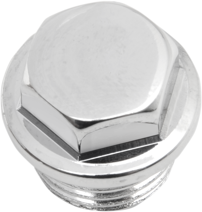 COLONY Timing Plug - Crankcase/Oil Tank / Hex/Oversized / 5/8"-18 DS-190893