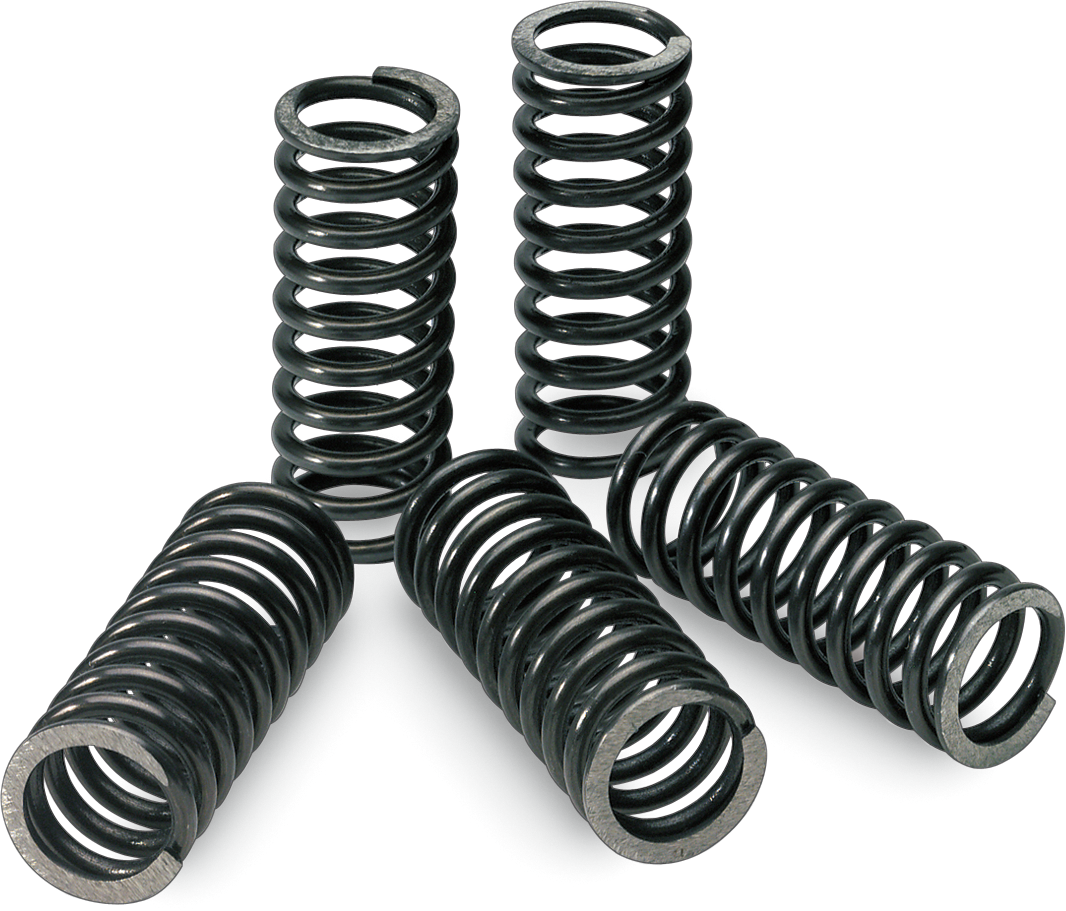 PRO CIRCUIT Clutch Spring Set