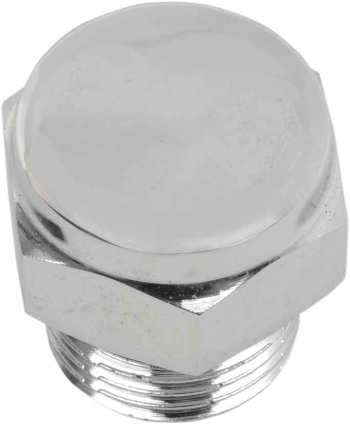 COLONY Timing Plug - Crankcase/Oil Tank / Cap / 5/8"-18 DS-190892