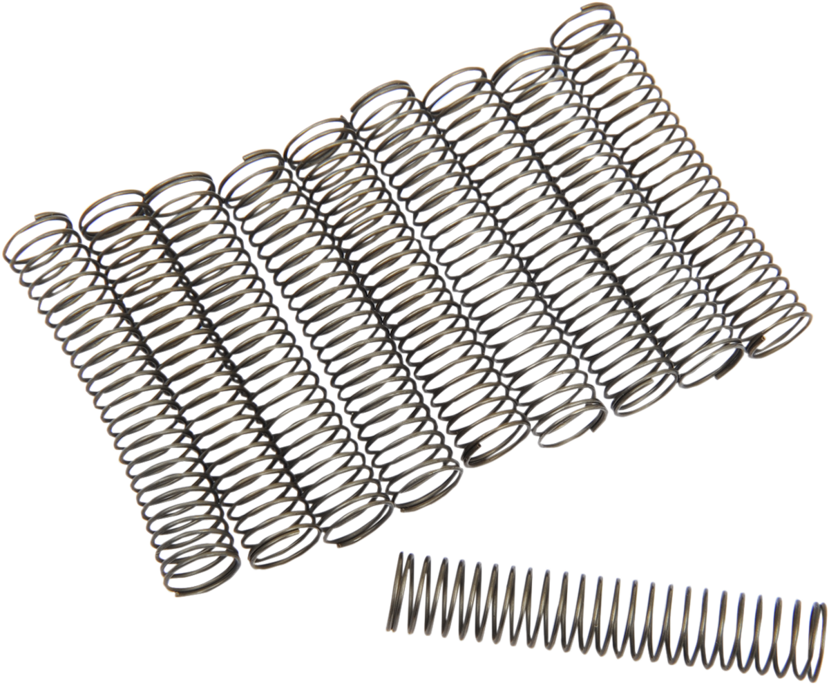 EASTERN MOTORCYCLE PARTS Oil Pump Check Valve Springs - DS-194223