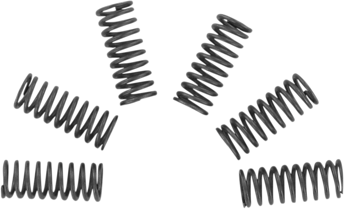 EBC Clutch Springs - CSK32