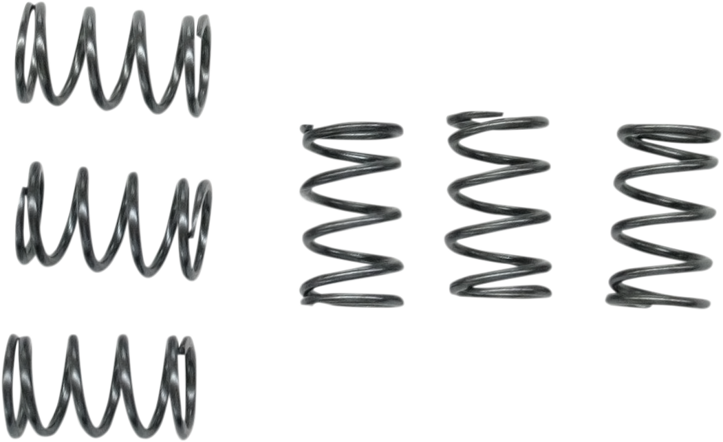 EBC Clutch Springs - CSK40