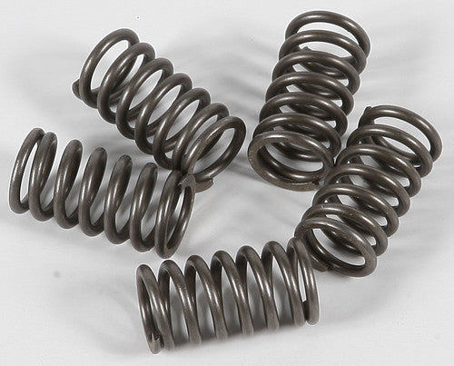 EBC Redline Clutch Springs - CSK118