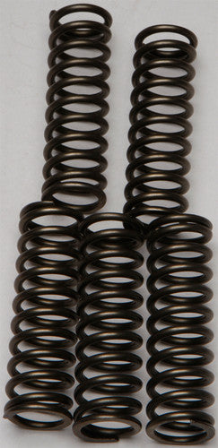 EBC Redline Clutch Springs - CSK169