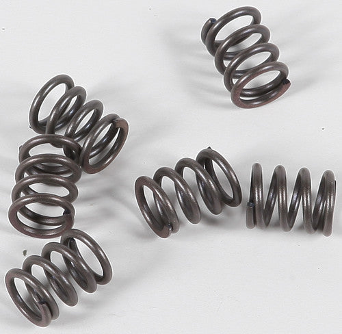 EBC Redline Clutch Springs - CSK21