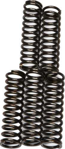 EBC Redline Clutch Springs - CSK67