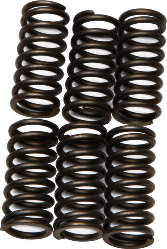 EBC Redline Clutch Springs - CSK80