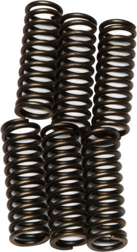 EBC Redline Clutch Springs - CSK92