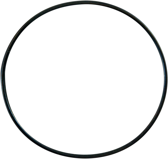 PRO CIRCUIT Replacement Water Pump Cover O-Ring - Replacement O-Ring 0935-0003