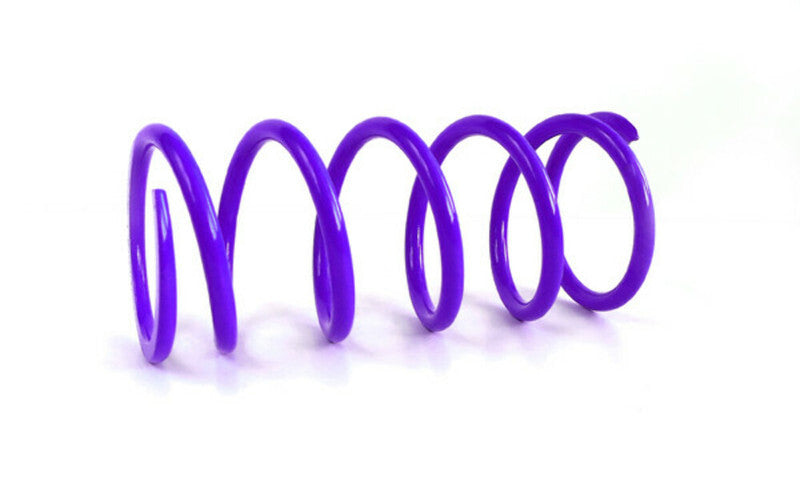EPI 16+ Can-Am 800-1000 Maverick/Defender/Commander/ X3 Primary Spring Dark Purple - CAPS5