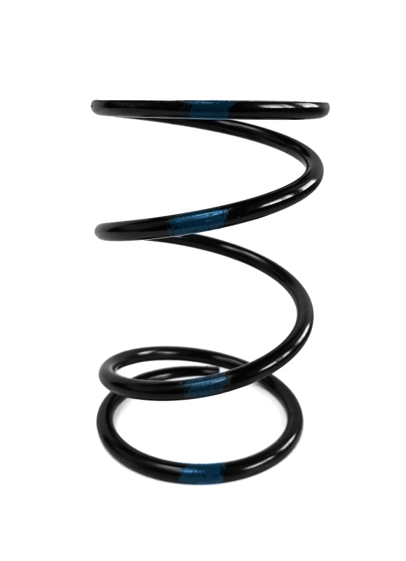 EPI 2008-2023 Polaris 500-1000 Sportsman/Ranger/RZR Secondary Spring Black/Blue - PEBS28
