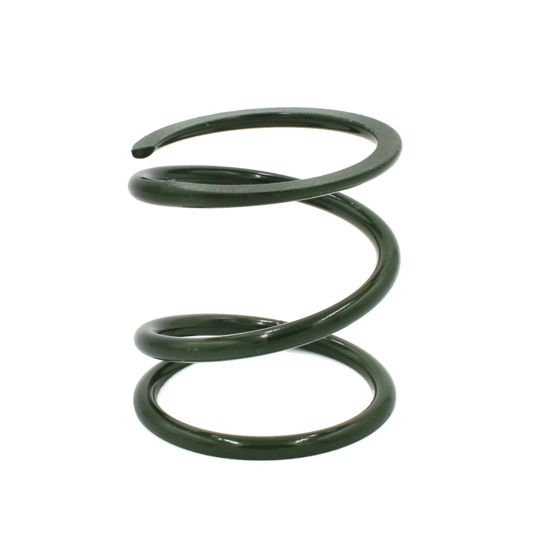 EPI 24+ Polaris RZR XP 1000/ Xpedition XP/ADV Primary Clutch Spring Dark Green - POLHD1