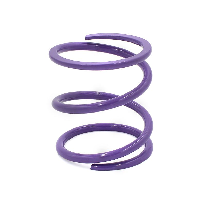 EPI 24+ Polaris RZR XP 1000/ Xpedition XP/ADV Primary Clutch Spring Purple - POLHD2