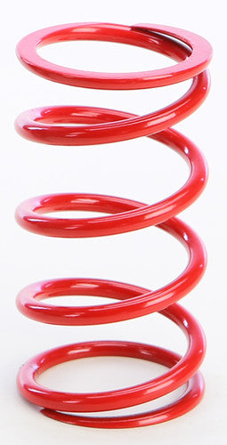 EPI Primary Clutch Spring - PS-5