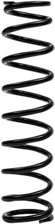 EPI Suspension Spring - WE325119