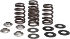 KIBBLEWHITE Beehive Spring Kit - Valve Spring Kit / 0.435" Lift / Beehive Racing / Husqvarna | KTM 0926-3042
