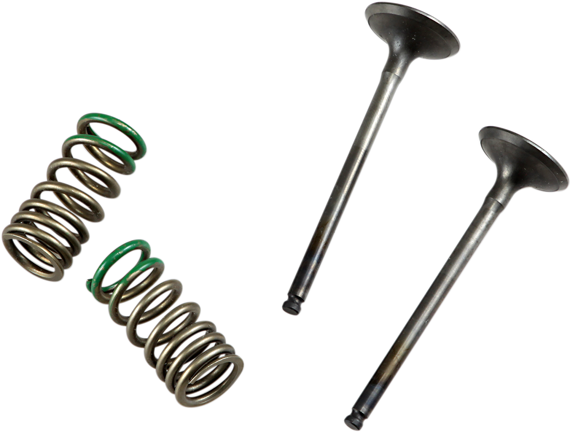 PROX Valve and Spring Kit