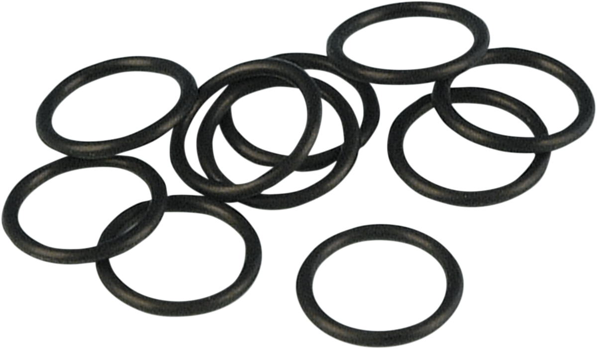 JAMES GASKET Crank Sensor O-Ring - Twin Cam DS-173206